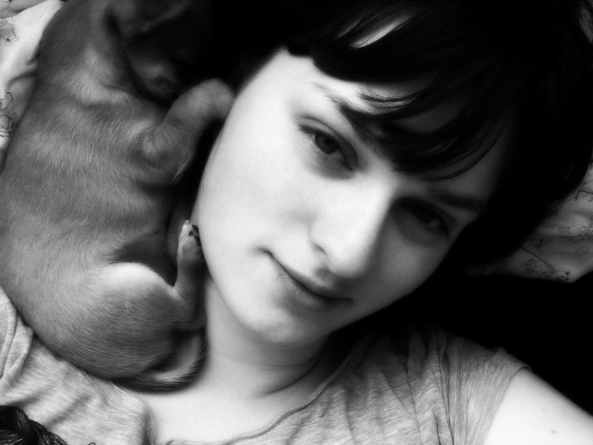 Chihuahua Chihuanas Flush of Hearts - Momo - Hygge om morgnen. <3 billede 33