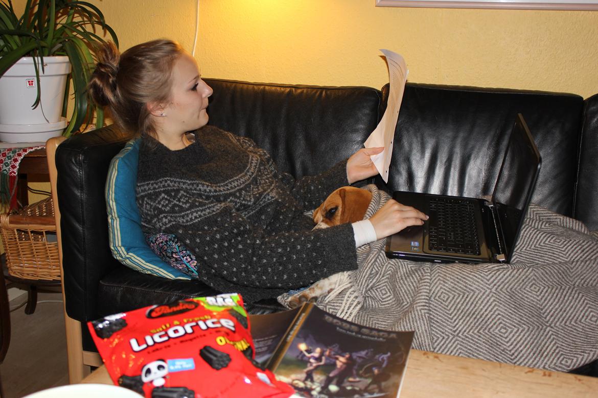 Beagle *Malou* - Sådan laver man tysk, Agnes og Malou stile! billede 15