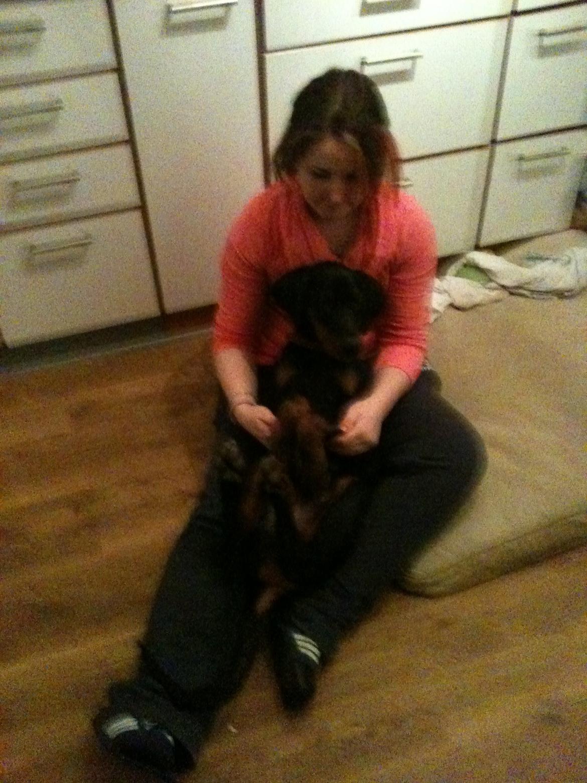 Dobermann King billede 9