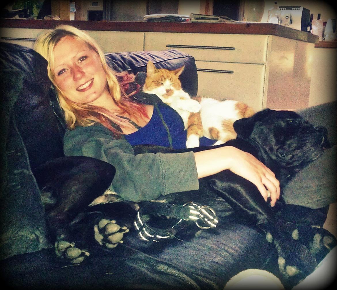 Blanding af racer Cleo - Hygge ! billede 16