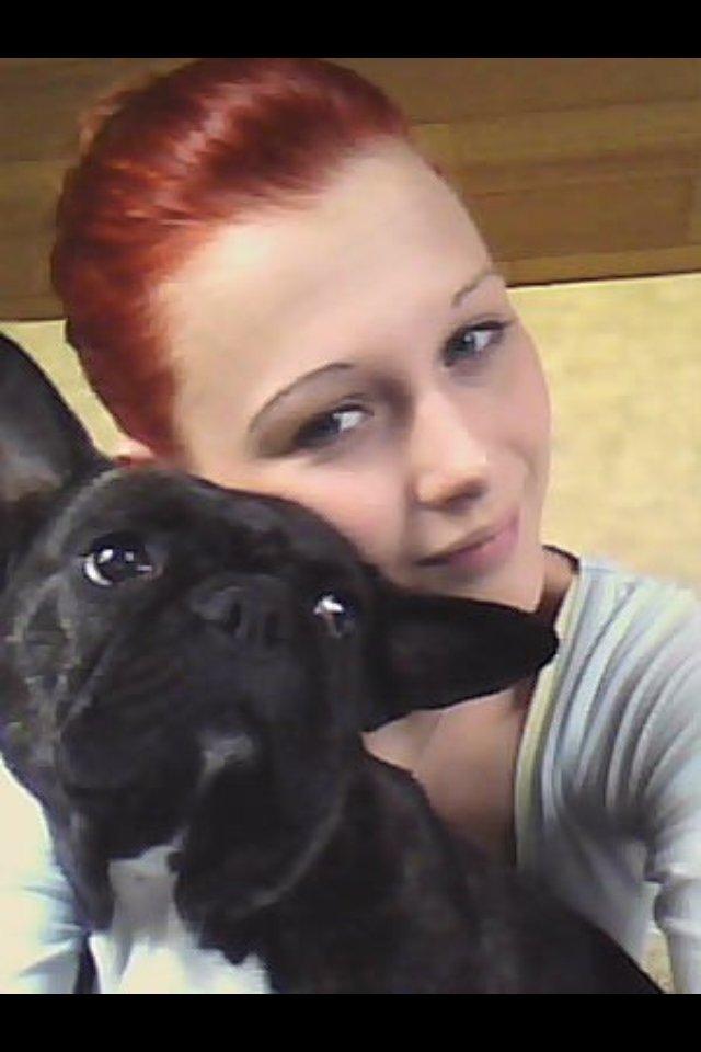 Fransk bulldog Kana billede 12