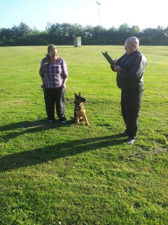 Schæferhund Vennebjergs Ronja - mig og Ronja til hvalpetest i kreds 81 billede 7