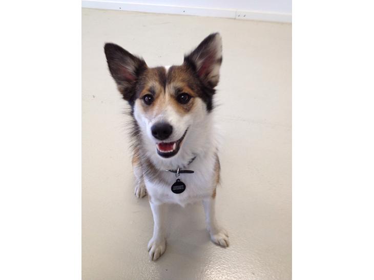 {{currentPhoto.altText}} billede {{currentPhoto.number}}