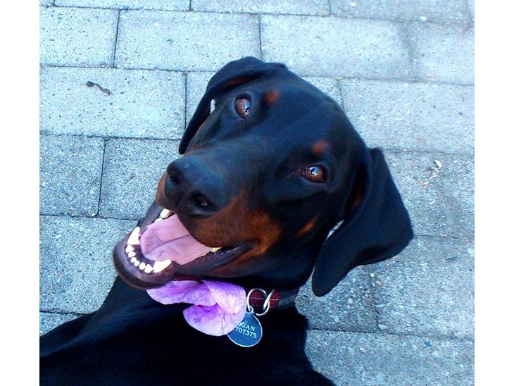 {{currentPhoto.altText}} billede {{currentPhoto.number}}