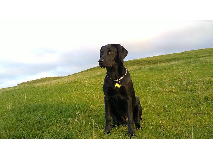 {{currentPhoto.altText}} billede {{currentPhoto.number}}