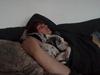 Grand danois Charlie [Tidl. hund]