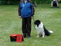 Border collie Jacki