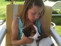 Kooikerhondje Maggie