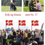 Riesenschnauzer Gracie Maren Brems