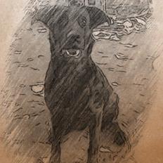 Blanding af racer Dixie.