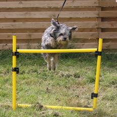 Blanding af racer Tiggi "Curley sue"