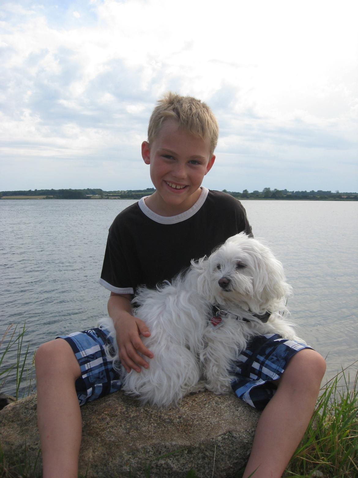 Malteser Freja<3 billede 9