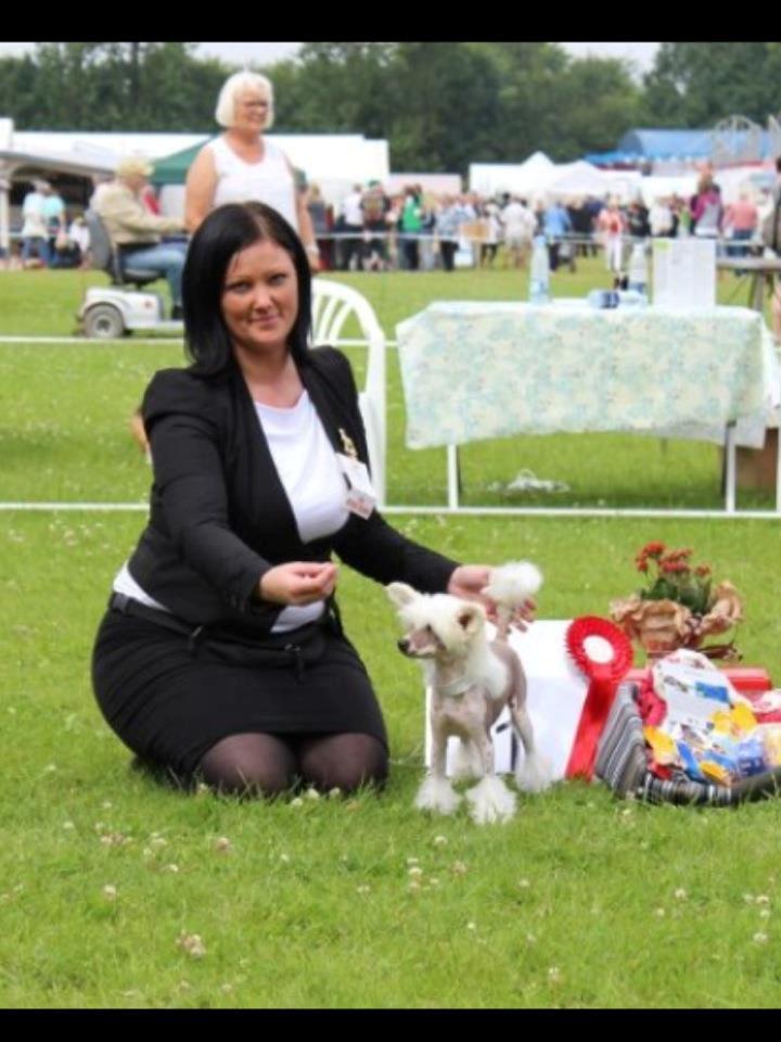 Chinese crested hårløs *GARBO* - BEST IN SHOW BABY - 4 MDR GAMMEL billede 11