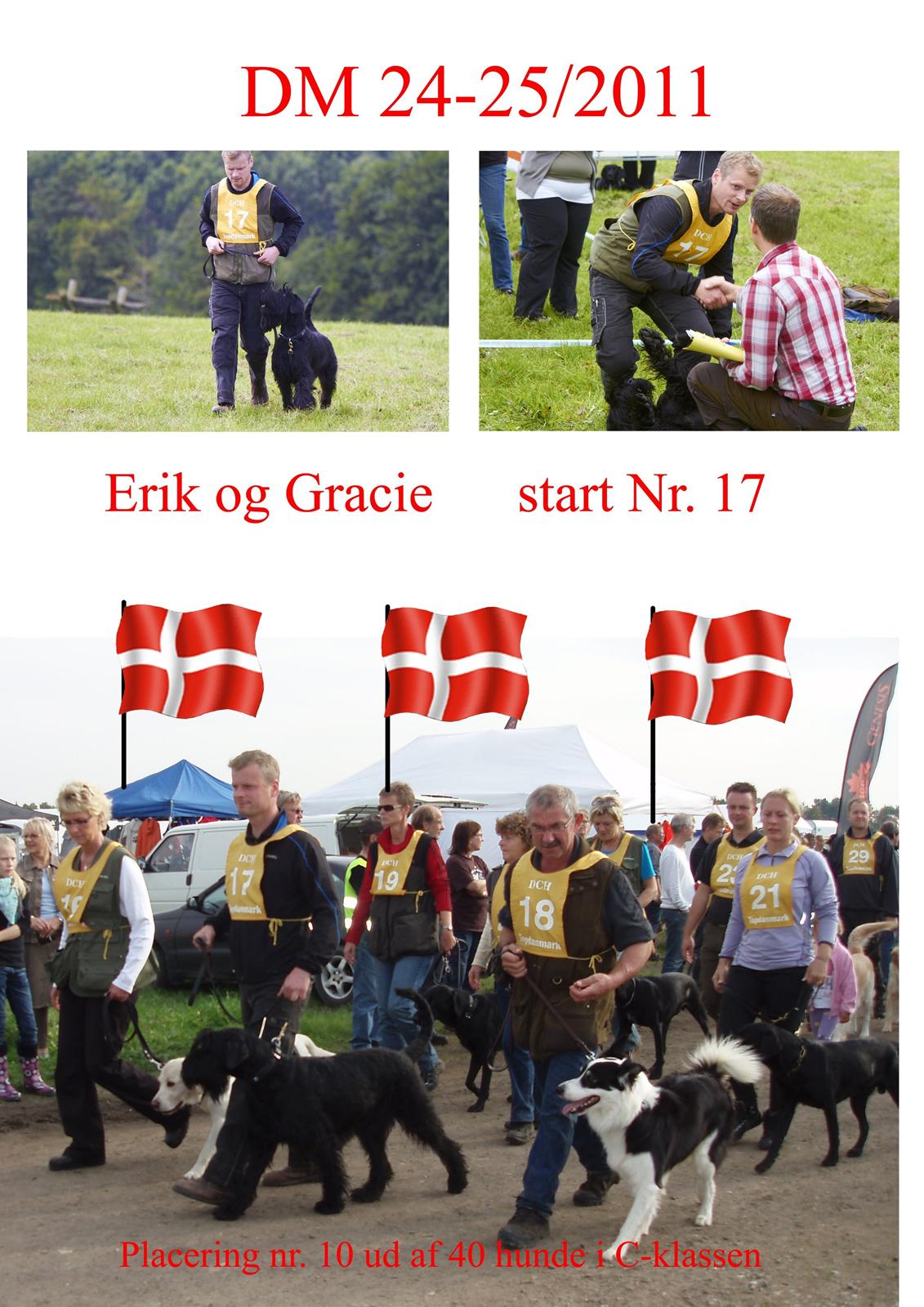 Riesenschnauzer Gracie Maren Brems billede 5