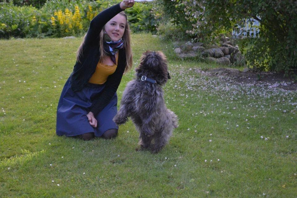 Blanding af racer Mads billede 4