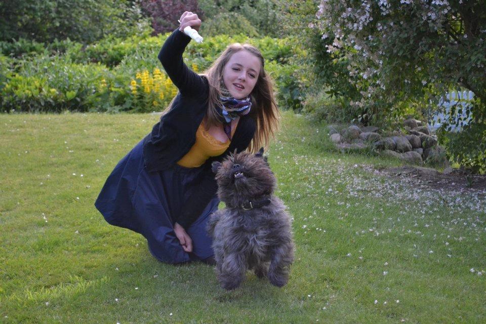 Blanding af racer Mads billede 6