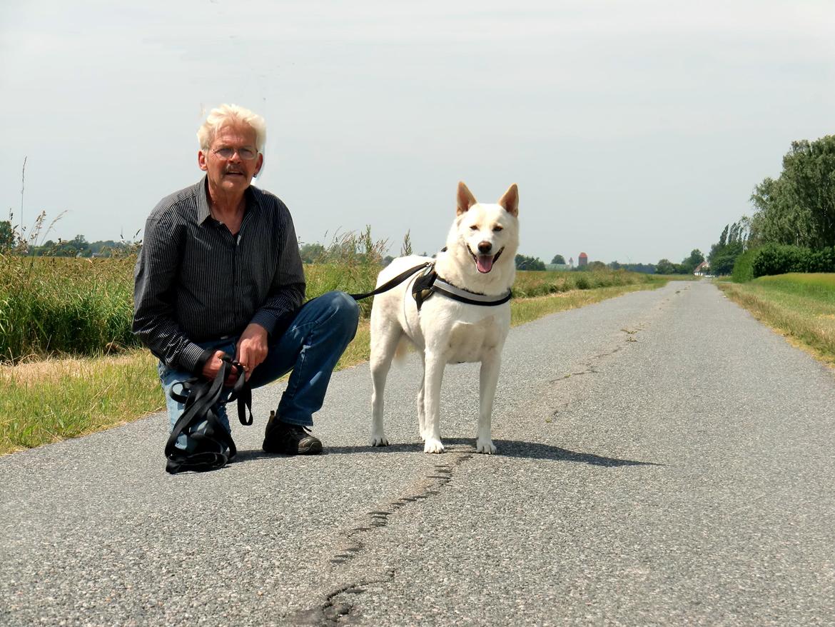 Canaanhund chancos naud(nanok) - Nanok og mig på tur billede 11