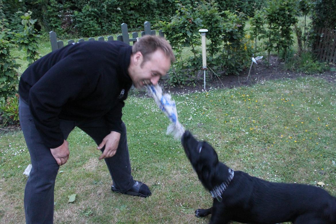 Blanding af racer Pepper <3 † Himmelhund † <3 - Hov hov, det min bold Tommy! :) billede 7