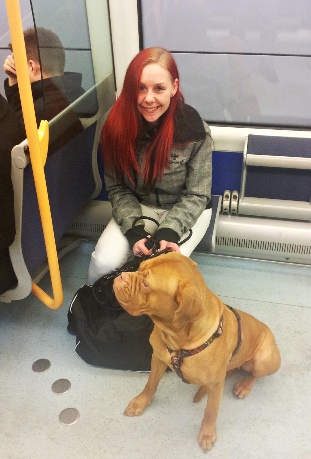 Dogue de bordeaux Emma (Tinke Grandis) - Mor og Emma i Metroen :-) billede 12