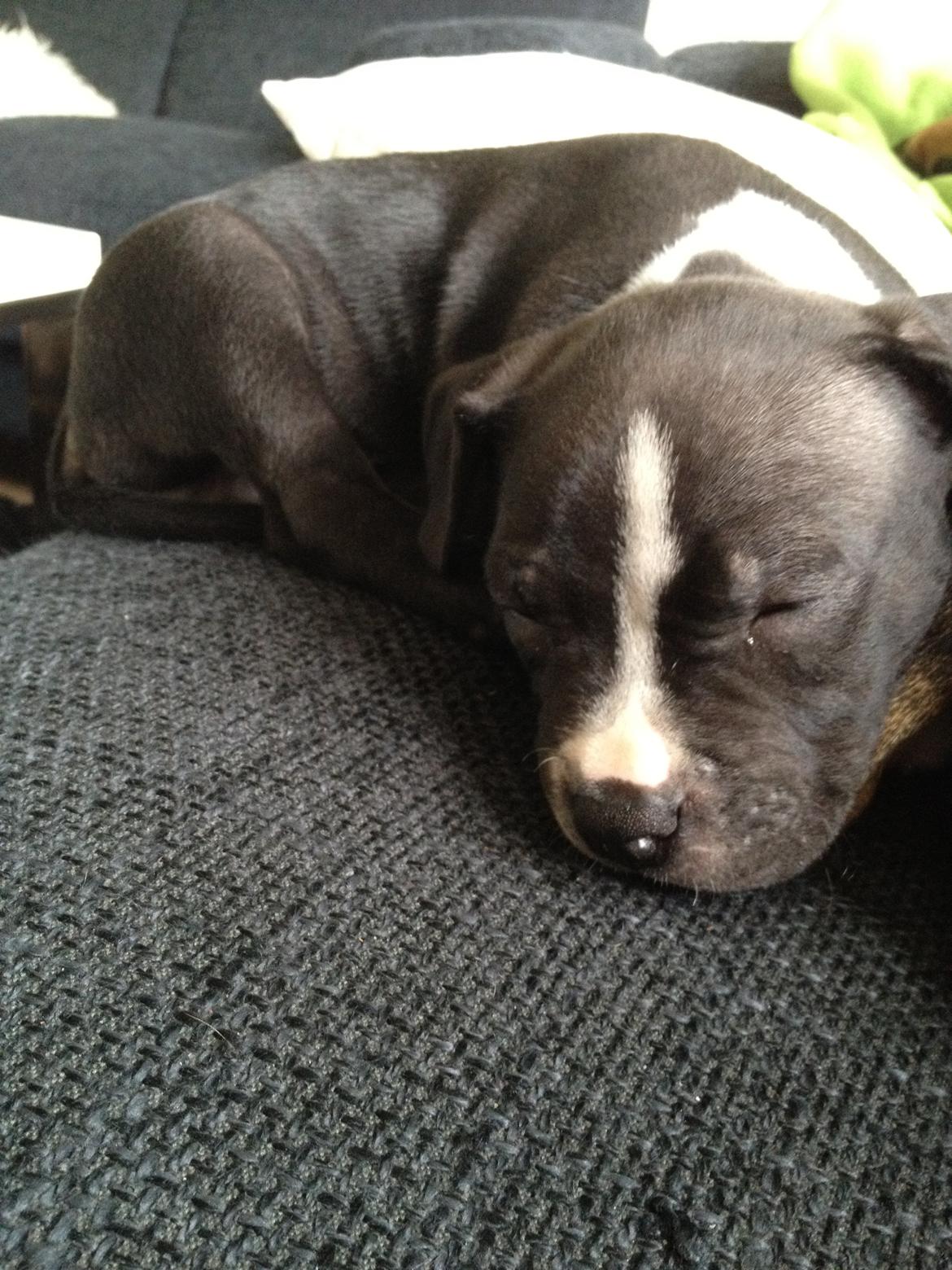 Blanding af racer Diablo billede 3