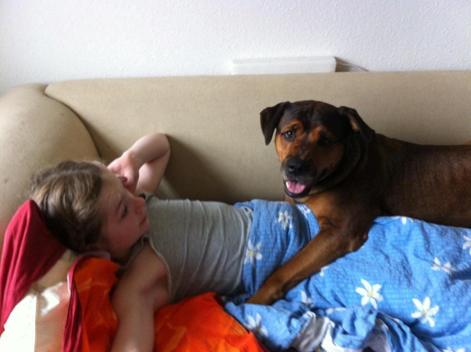 Blanding af racer Freya billede 16