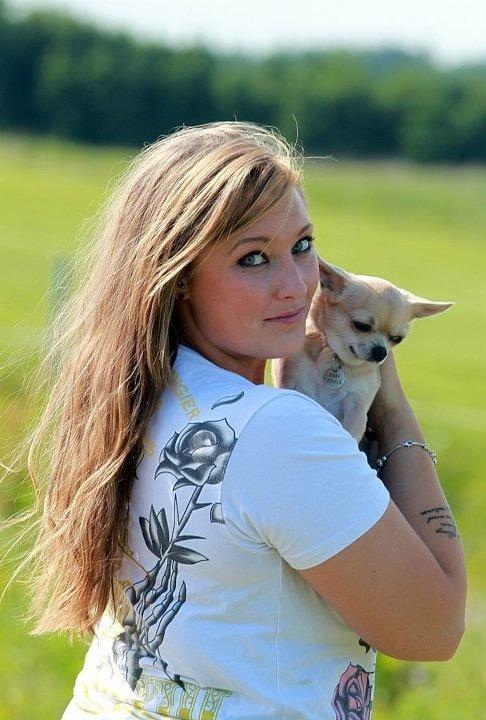 Chihuahua Baby'Loo Tequila billede 8