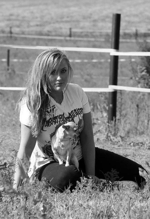 Chihuahua Baby'Loo Tequila billede 6