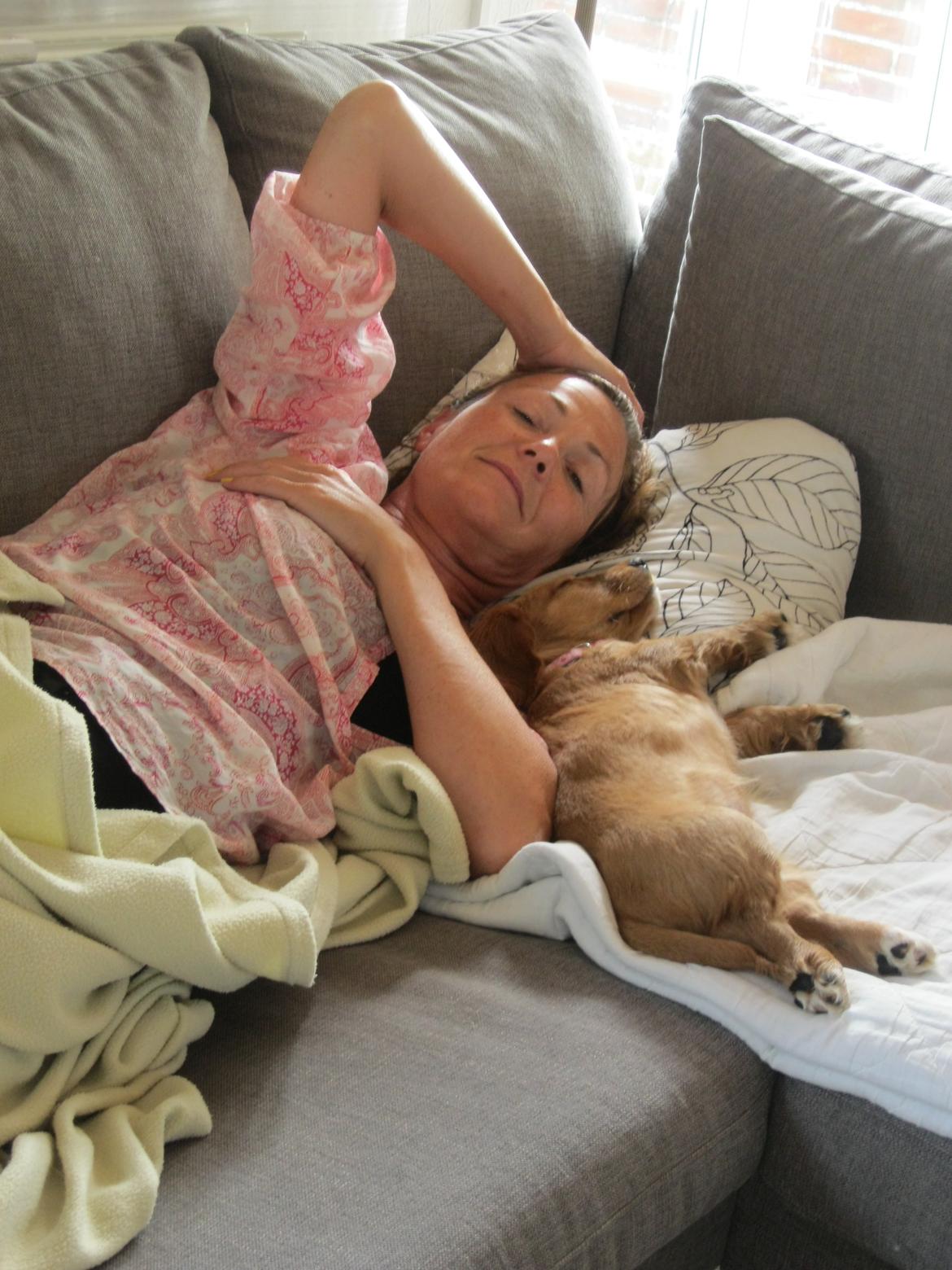 Blanding af racer Asta billede 3