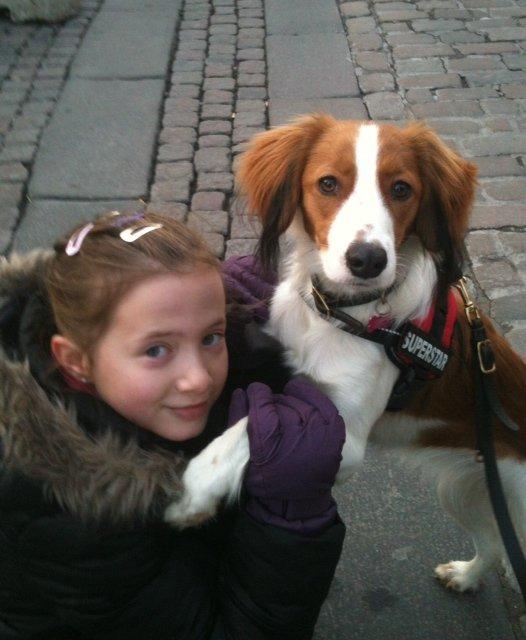 Kooikerhondje Maggie - Mig og Maria venter på hotdog i Nyhavn billede 9