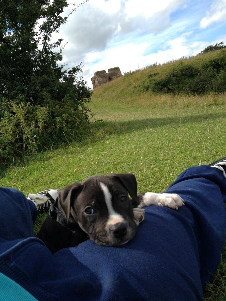 Blanding af racer Diablo billede 4