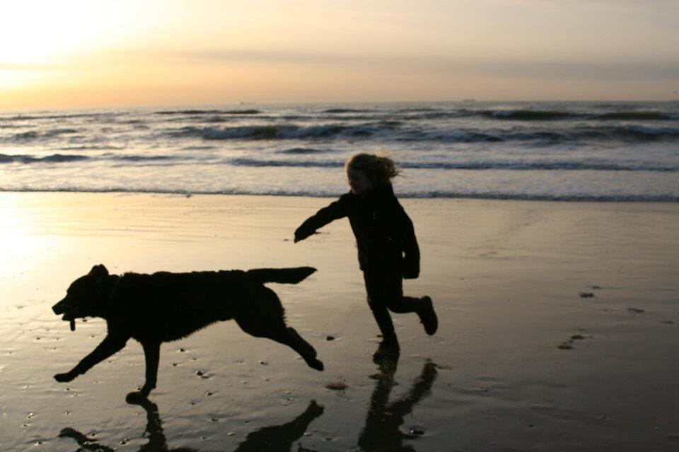 Labrador retriever Max (Verdens bedste hund) <3 billede 3