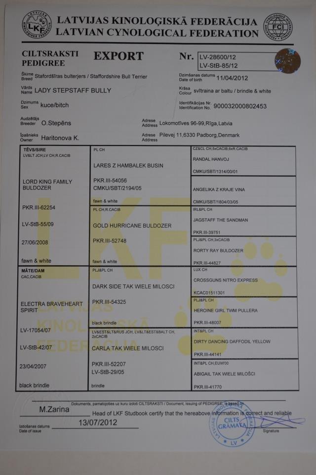 Staffordshire bull terrier Lady Step - bette lååårts tavle billede 17