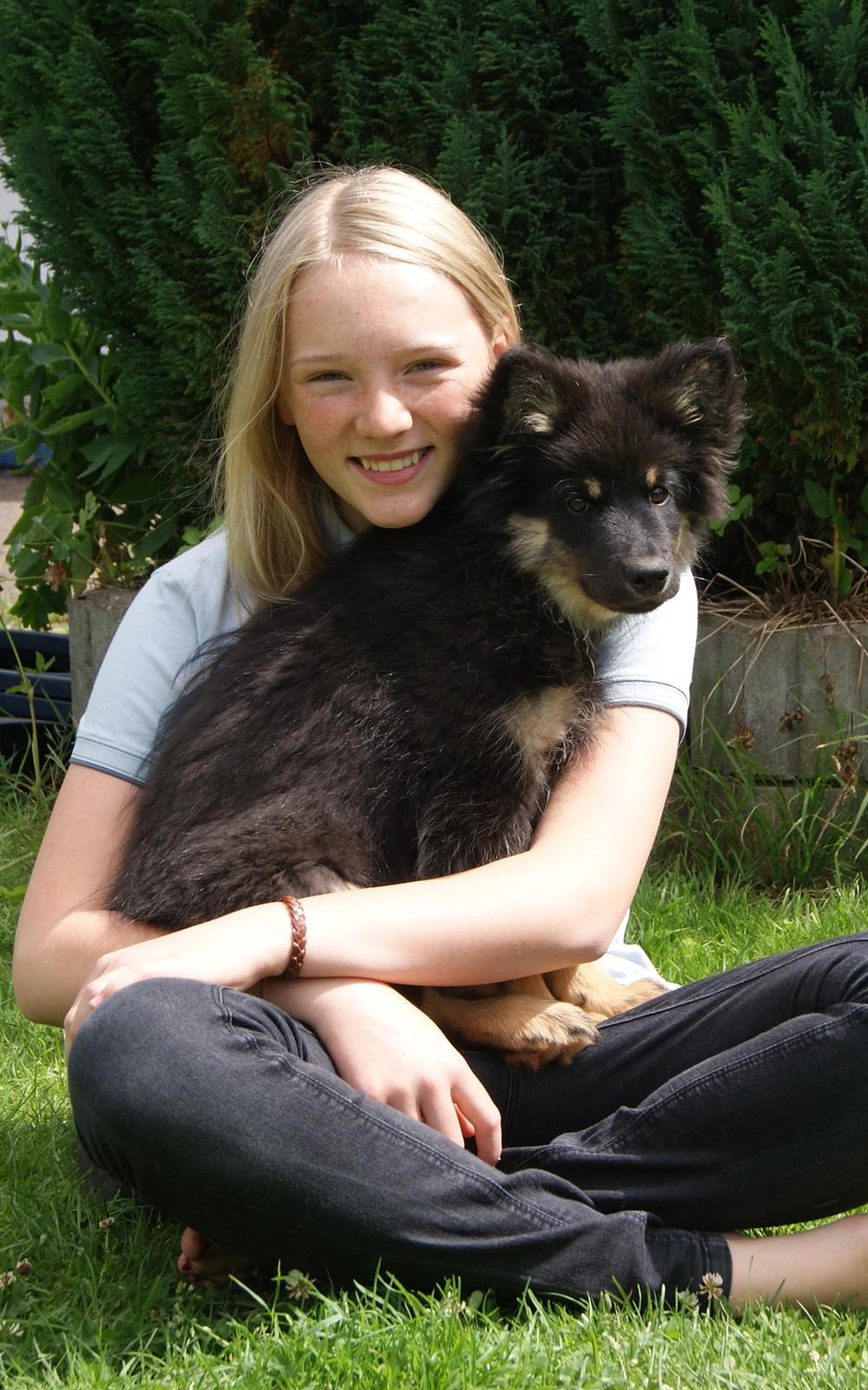 Finsk lapphund Kello Ayla - Smukke Ayla & Jeg i sommerens smukke farver <3 billede 11