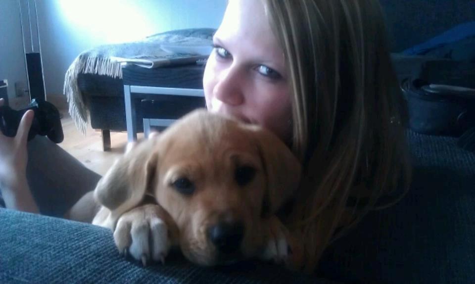 Blanding af racer Boudicca billede 12