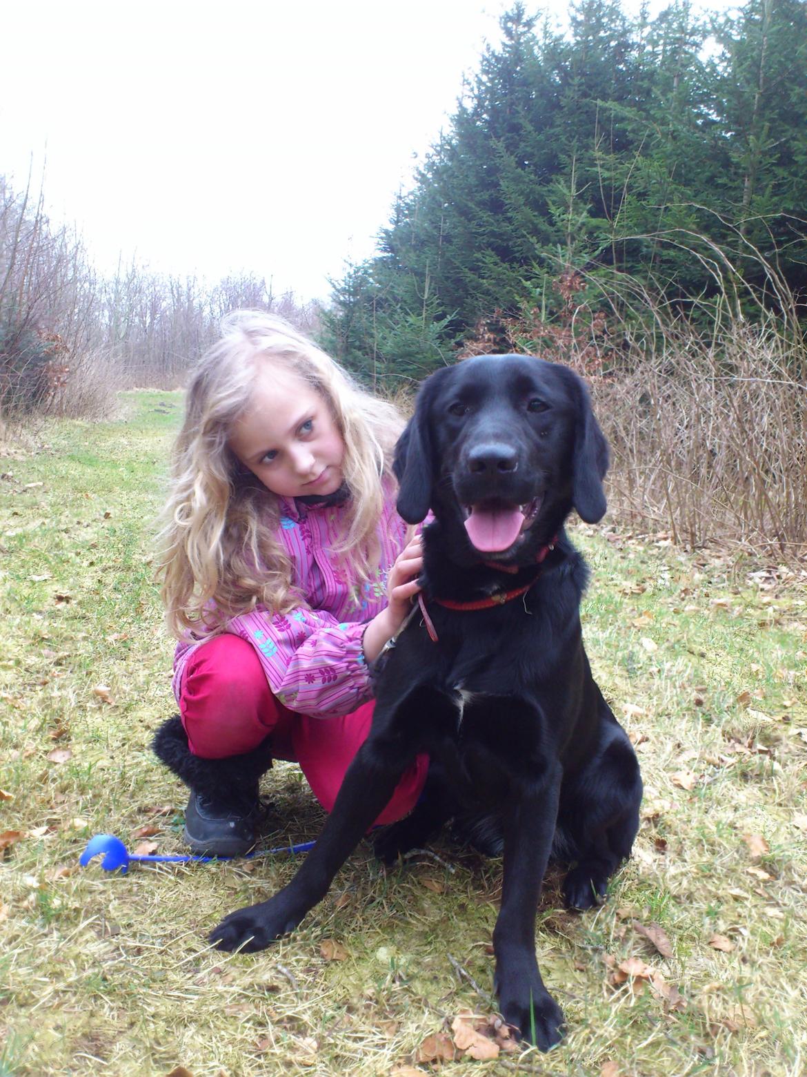 Blanding af racer Beauty <3 - Sascha og Beauty <3 billede 3