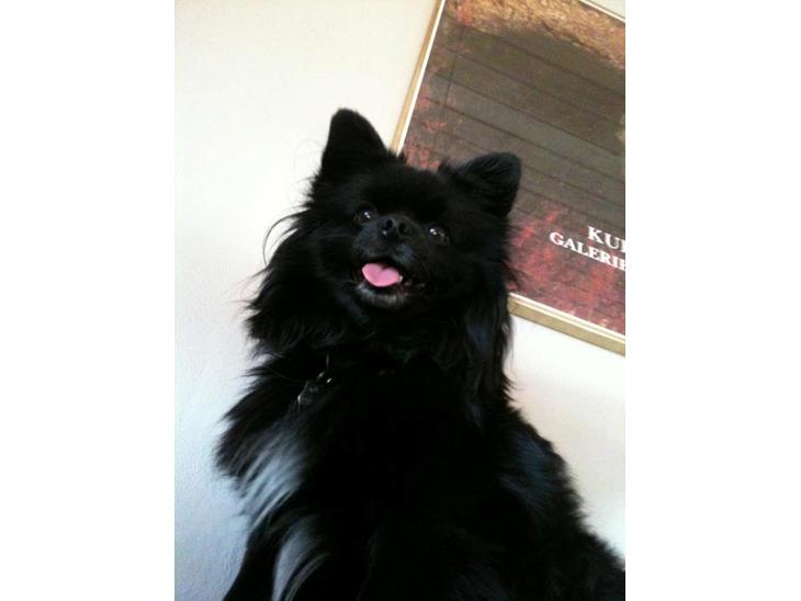 {{currentPhoto.altText}} billede {{currentPhoto.number}}