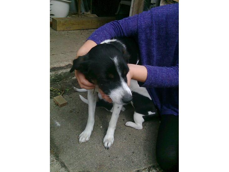 {{currentPhoto.altText}} billede {{currentPhoto.number}}