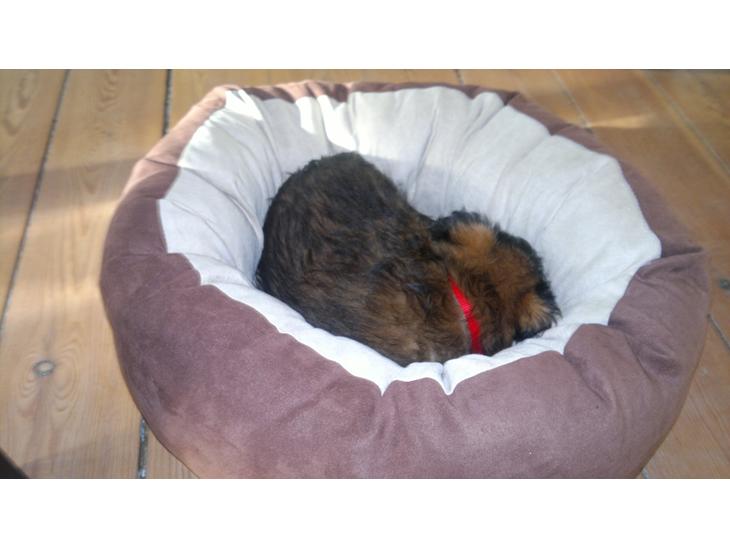 {{currentPhoto.altText}} billede {{currentPhoto.number}}