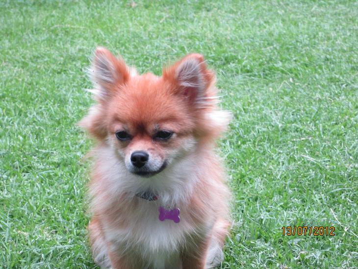 {{currentPhoto.altText}} billede {{currentPhoto.number}}