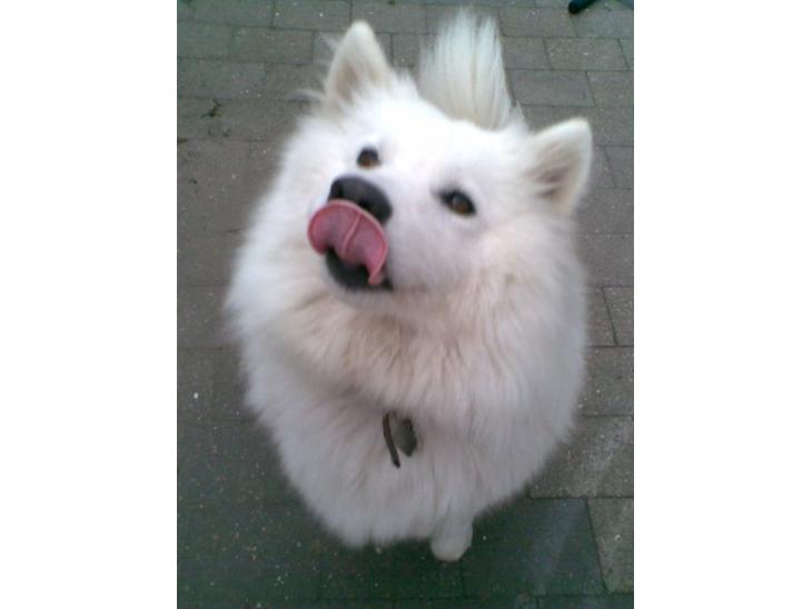 {{currentPhoto.altText}} billede {{currentPhoto.number}}