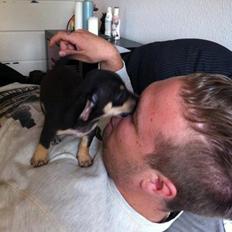 Blanding af racer cookie