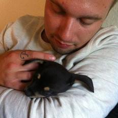 Blanding af racer cookie