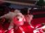 Coton de tulear Sisses Cindy