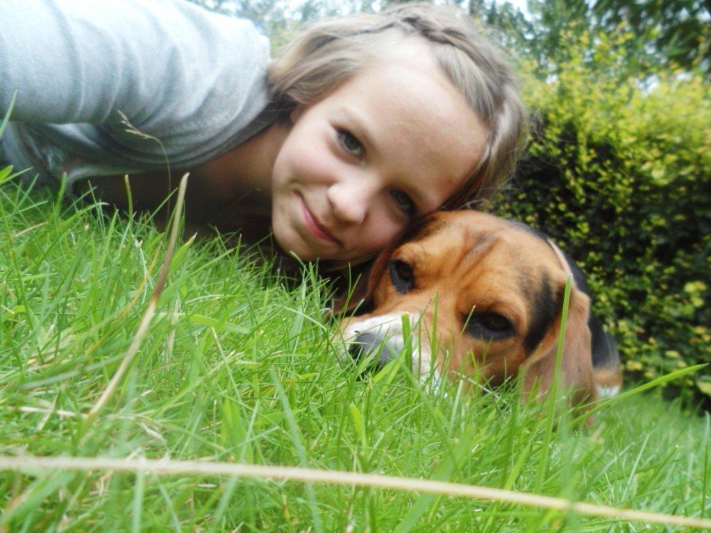 Beagle Leonardo - Leooooooooooo billede 21