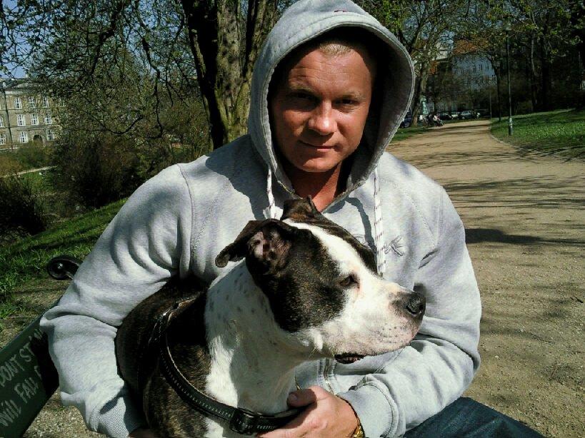 Amerikansk staffordshire terrier fubi billede 12