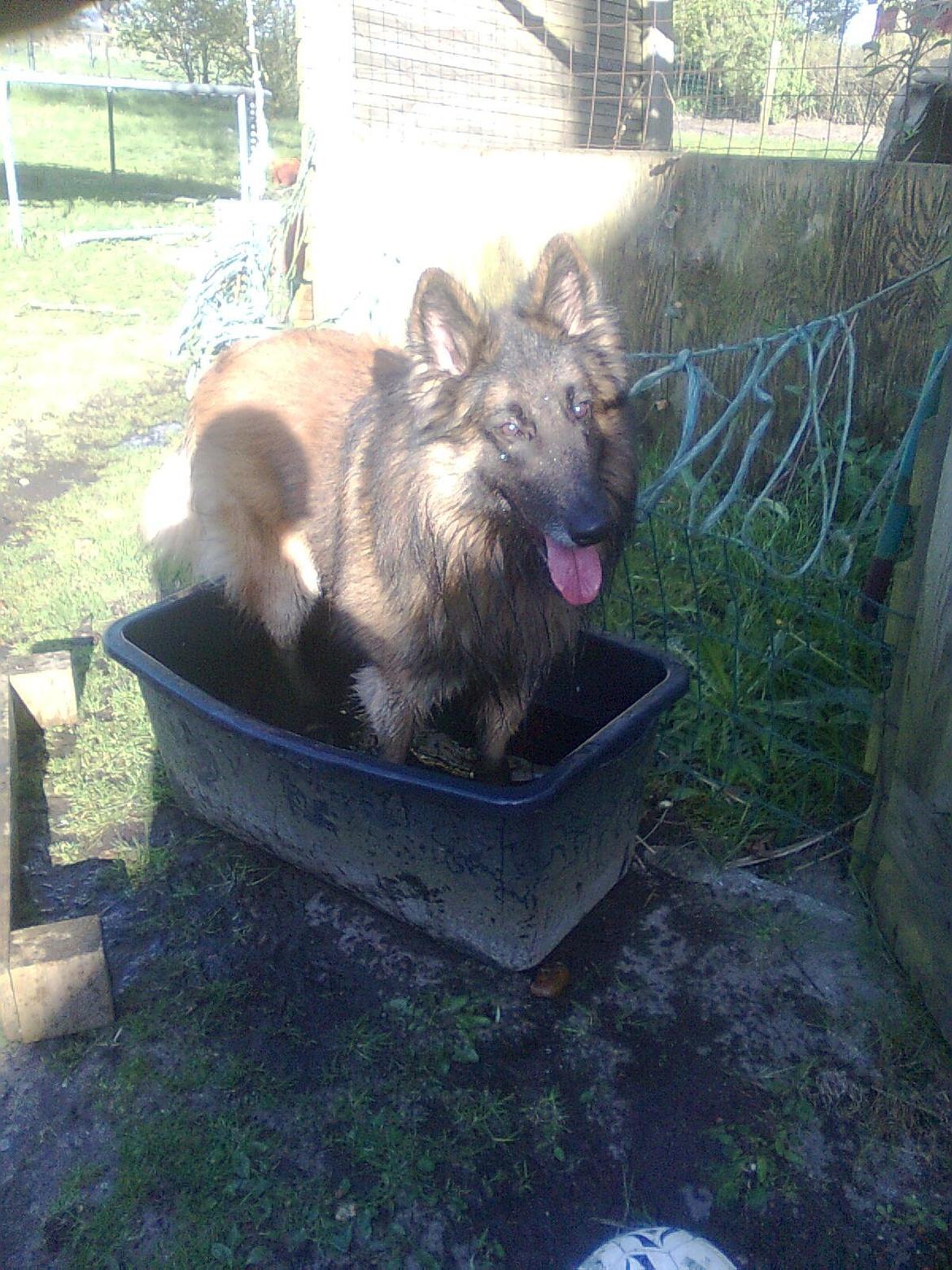 Tervueren Atak billede 10