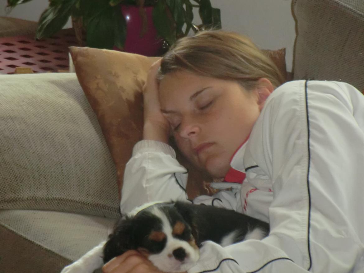 Cavalier king charles spaniel Basse Dion - Basse og jeg på sofaen :) billede 7