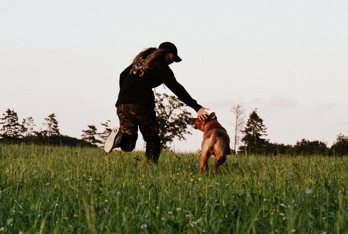 Blanding af racer Akeela billede 15