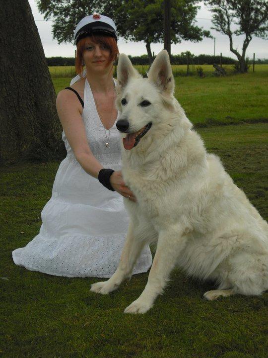 Hvid schæfer Aurora snowgirl vom Smidstrup billede 16