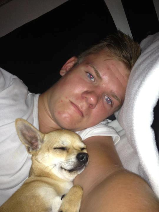 Chihuahua Tico billede 3